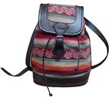 Purse  costal  with multicoloured awayo