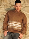 Brown Sweater 