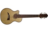 Slim Traveler Guitar