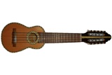 Beginners Charango Painted