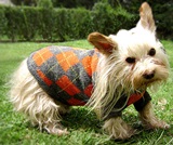 Orange rhombus  dog sweater