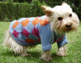Little bue sky  dog sweater