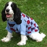 Classic dog sweater