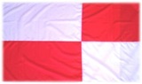 POTOSI'S FLAG