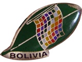 Pin Coca Leaf