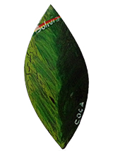 Refrigerator Magnet "Coca"