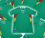 12 BOLIVIA NATIONAL TEAM Jerseys for a Soccer Team