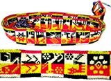 Multicolor Potosi Sash