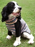 Puppy chic  dog sweater - 100% alpaca