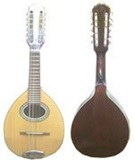 Semi-professional Mandolin - Nogal woodl