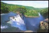 Postcards - Amazon Landscapes